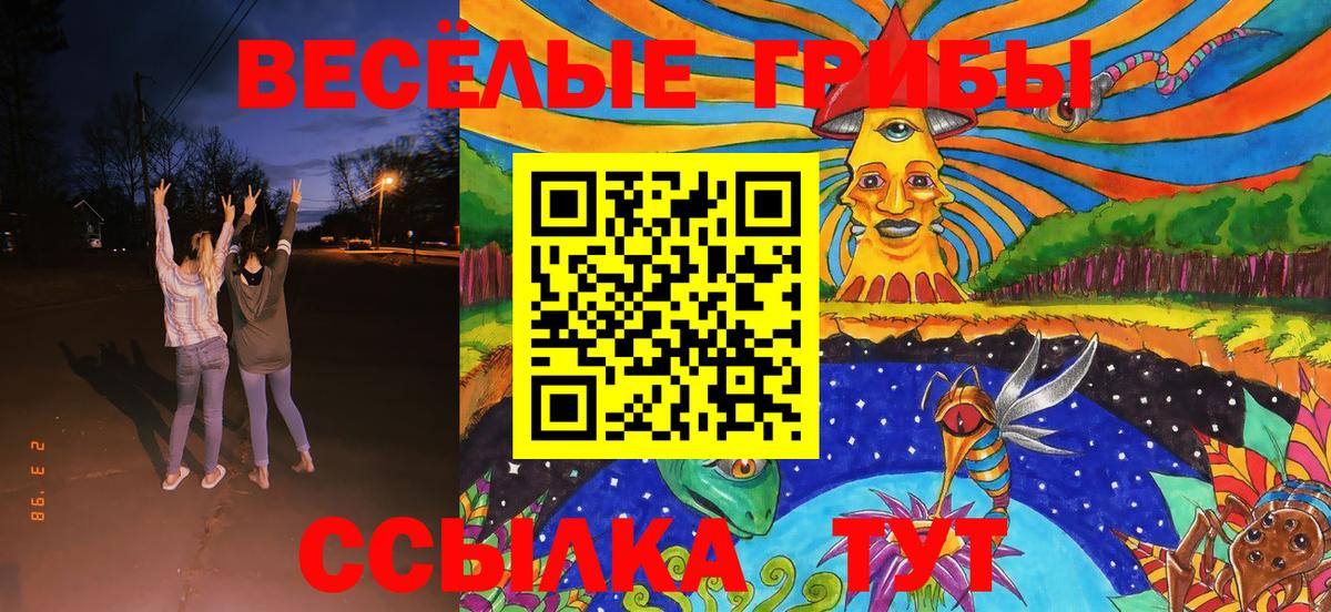 Псилоцибиновые грибы Magic Shrooms Малоярославец